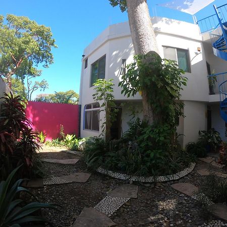 Casa Arbol De Paz Habitacion Doble チャカラ エクステリア 写真