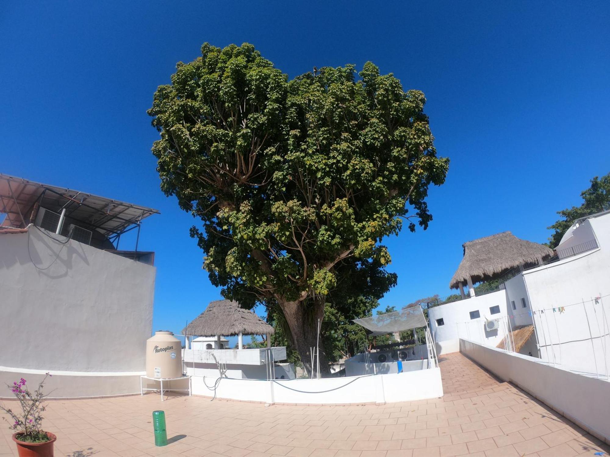 Casa Arbol De Paz Habitacion Doble チャカラ エクステリア 写真