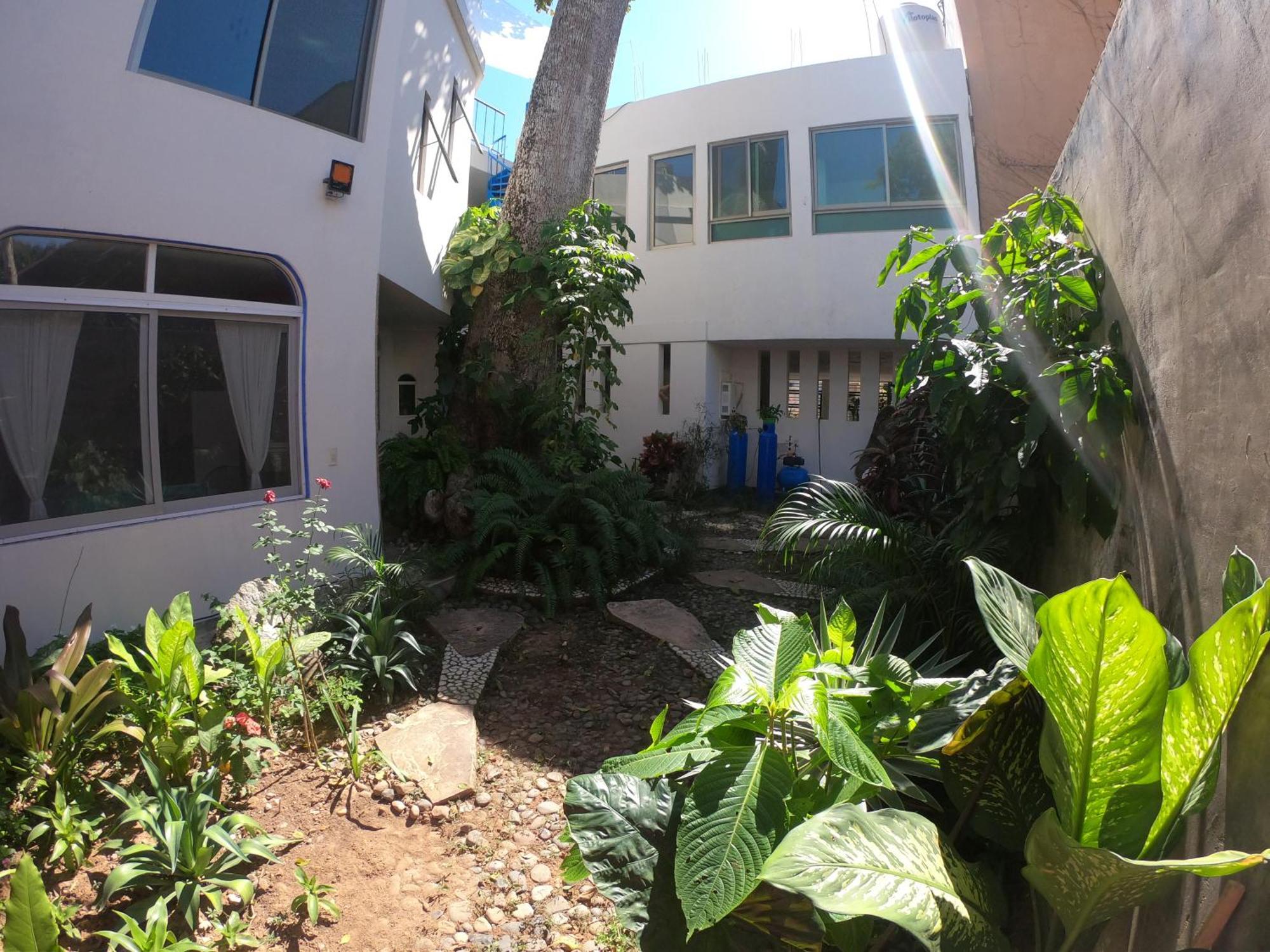 Casa Arbol De Paz Habitacion Doble チャカラ エクステリア 写真